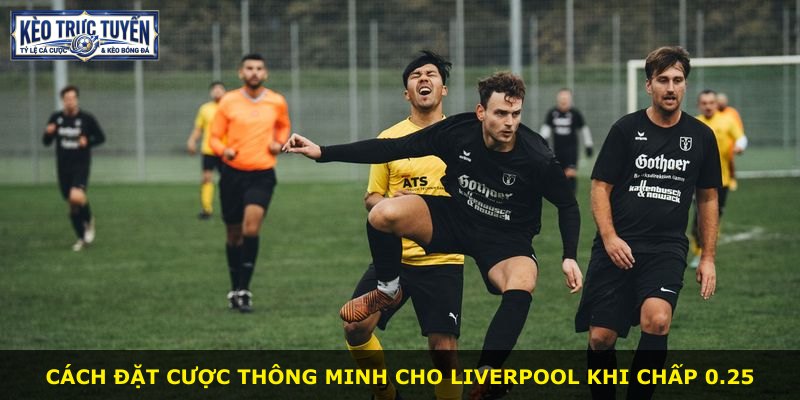 Cách đặt cược thông minh cho Liverpool khi chấp 0.25