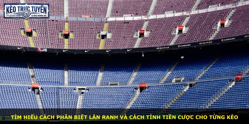 Tìm hiểu cách phân biệt lằn ranh và cách tính tiền cược cho từng kèo