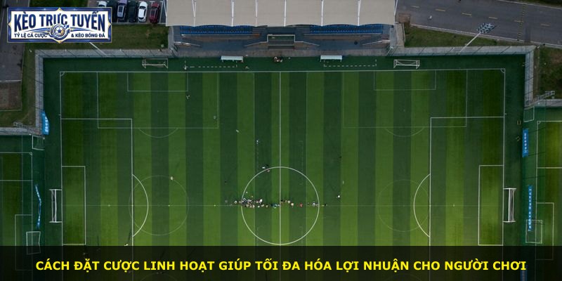 Cách đặt cược linh hoạt giúp tối đa hóa lợi nhuận cho người chơi