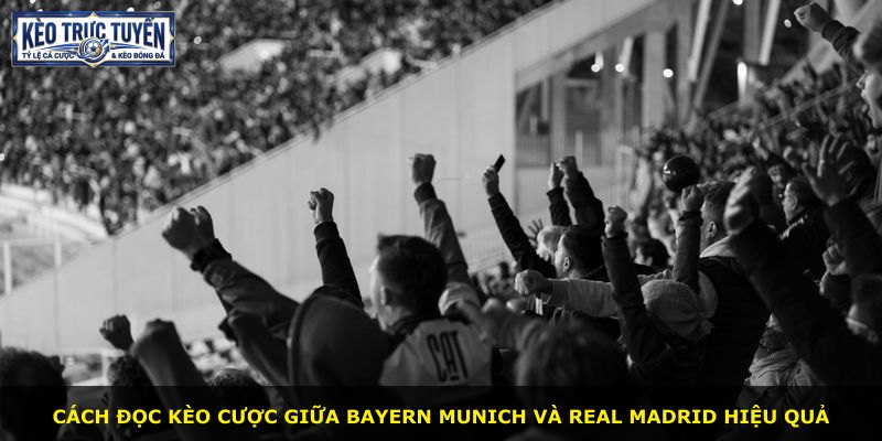 Cách đọc kèo cược giữa Bayern Munich và Real Madrid hiệu quả