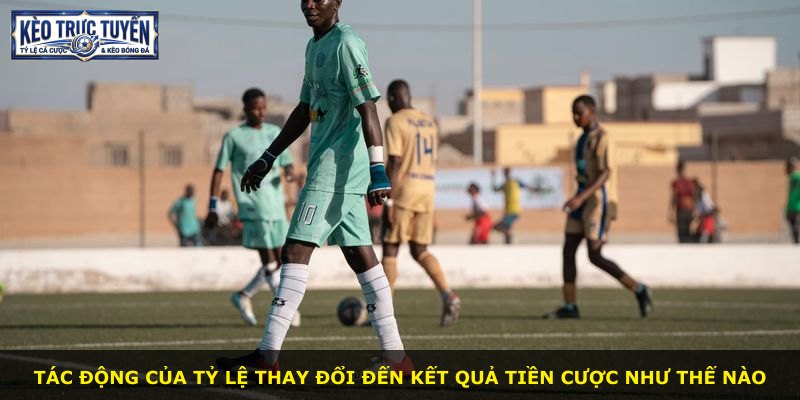 Tác động của tỷ lệ thay đổi đến kết quả tiền cược như thế nào