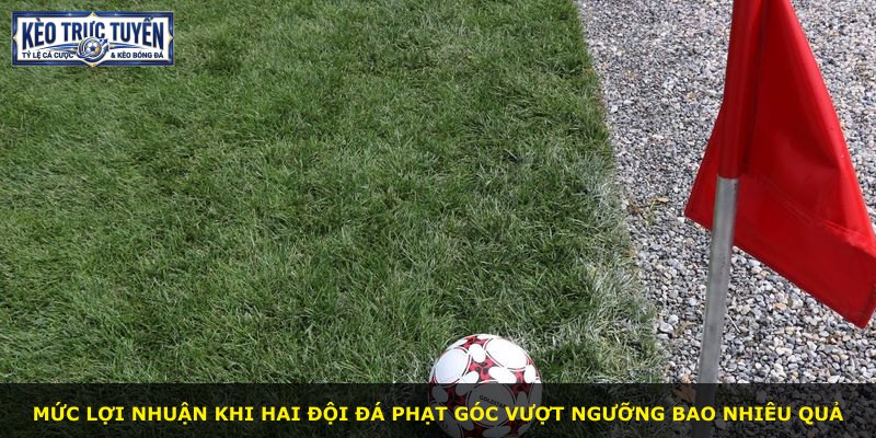 Mức lợi nhuận khi hai đội đá phạt góc vượt ngưỡng bao nhiêu quả