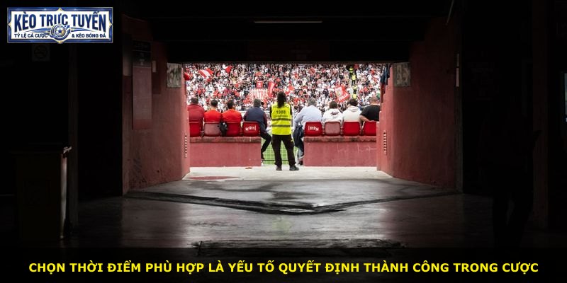 Chọn thời điểm phù hợp là yếu tố quyết định thành công trong cược