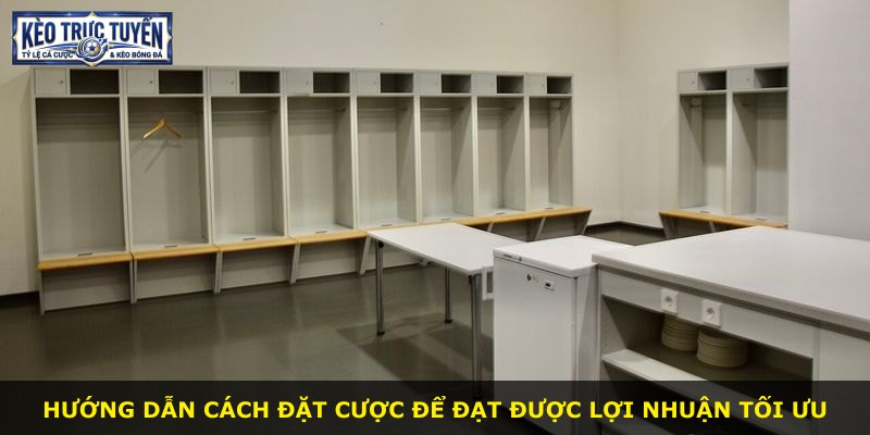 Hướng dẫn cách đặt cược để đạt được lợi nhuận tối ưu