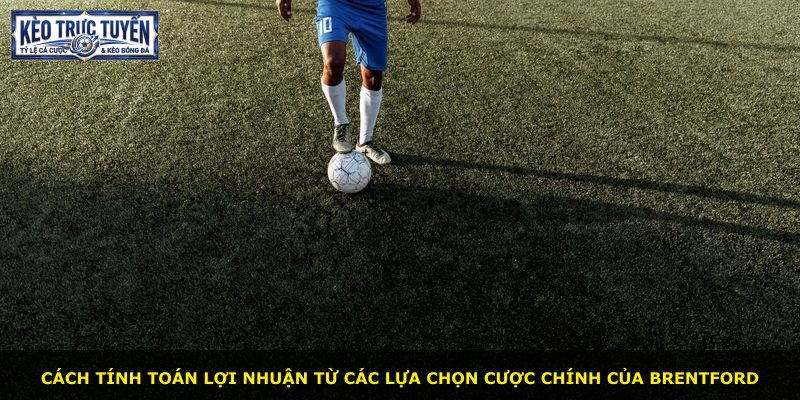 Cách tính toán lợi nhuận từ các lựa chọn cược chính của Brentford