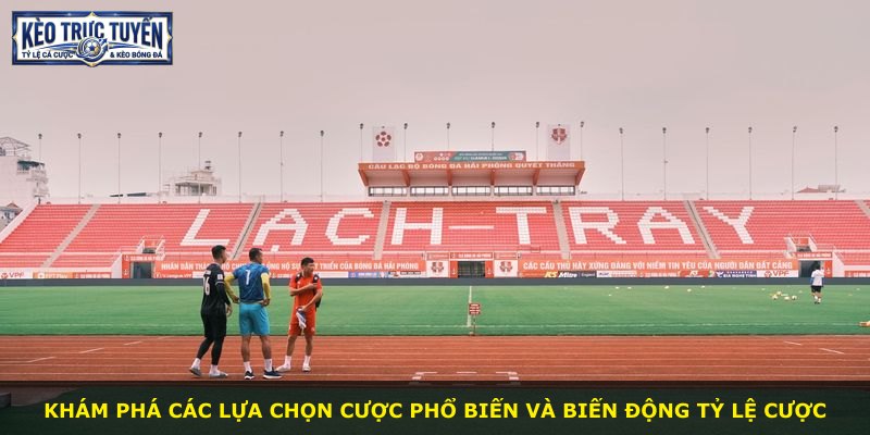Khám phá các lựa chọn cược phổ biến và biến động tỷ lệ cược