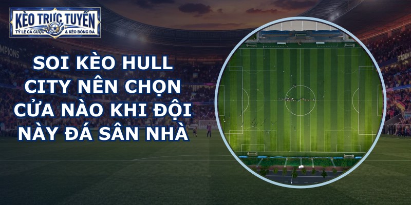 soi kèo Hull City