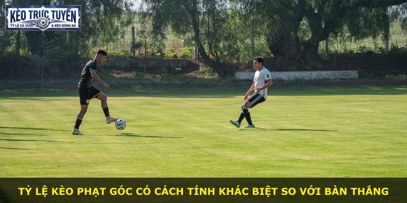 Tỷ lệ kèo phạt góc có cách tính khác biệt so với bàn thắng