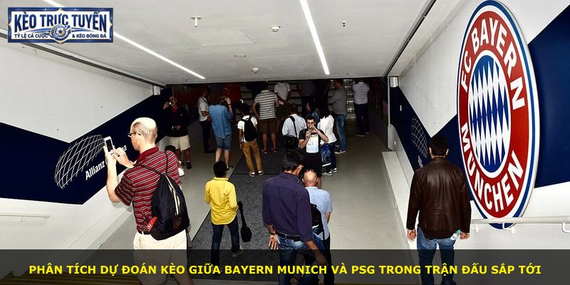 Phân tích dự đoán kèo giữa Bayern Munich và PSG trong trận đấu sắp tới