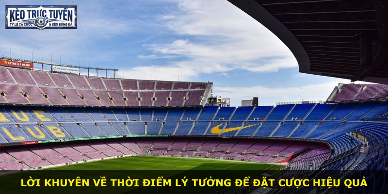 Lời khuyên về thời điểm lý tưởng để đặt cược hiệu quả