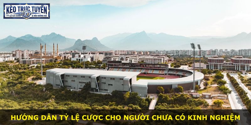 Hướng dẫn tỷ lệ cược cho người chưa có kinh nghiệm