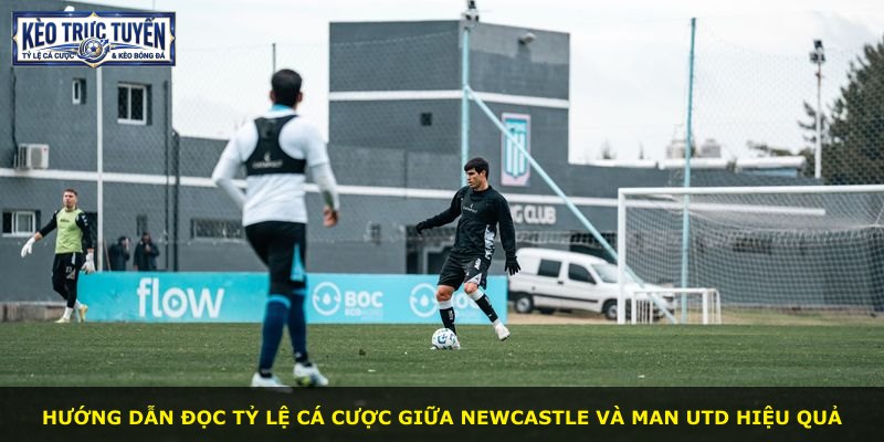 Hướng dẫn đọc tỷ lệ cá cược giữa Newcastle và Man Utd hiệu quả